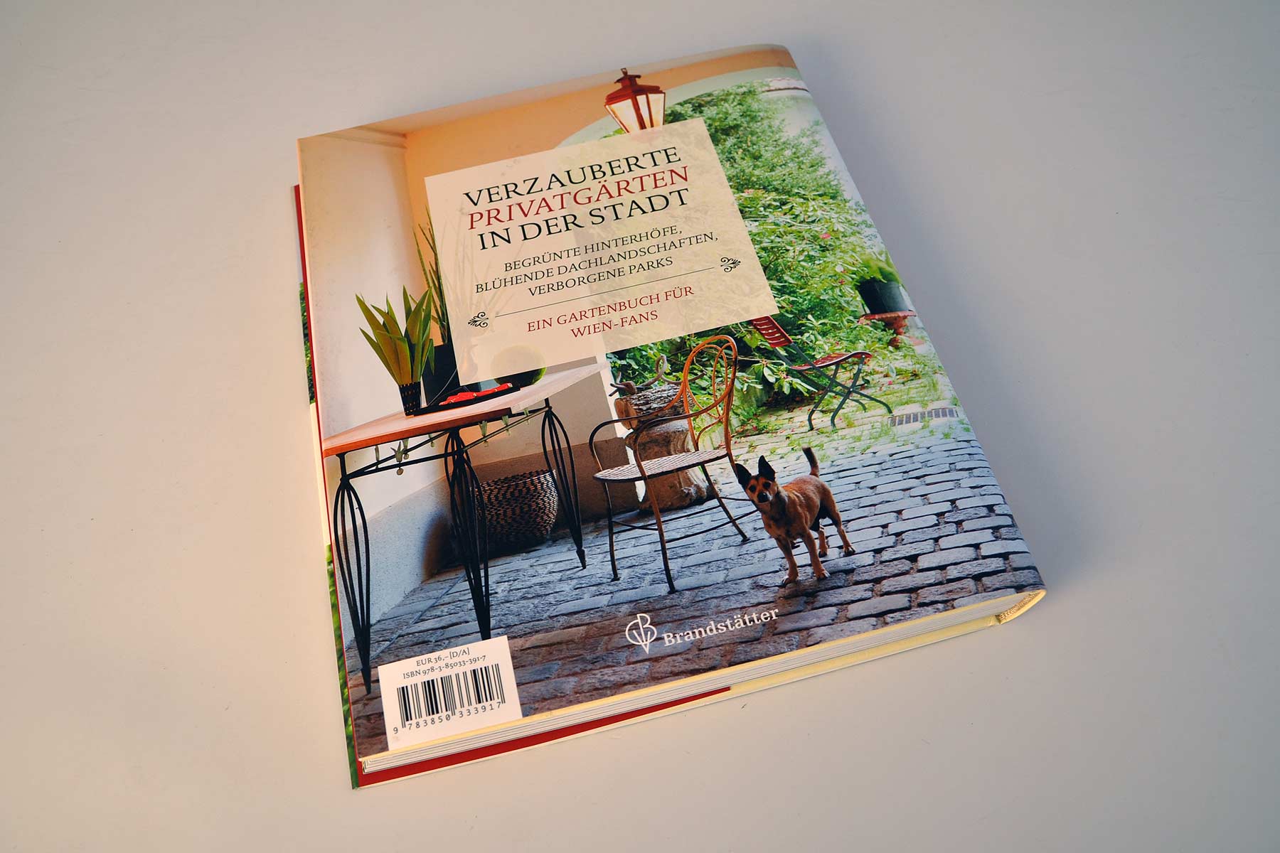 Rückseite des Buchs