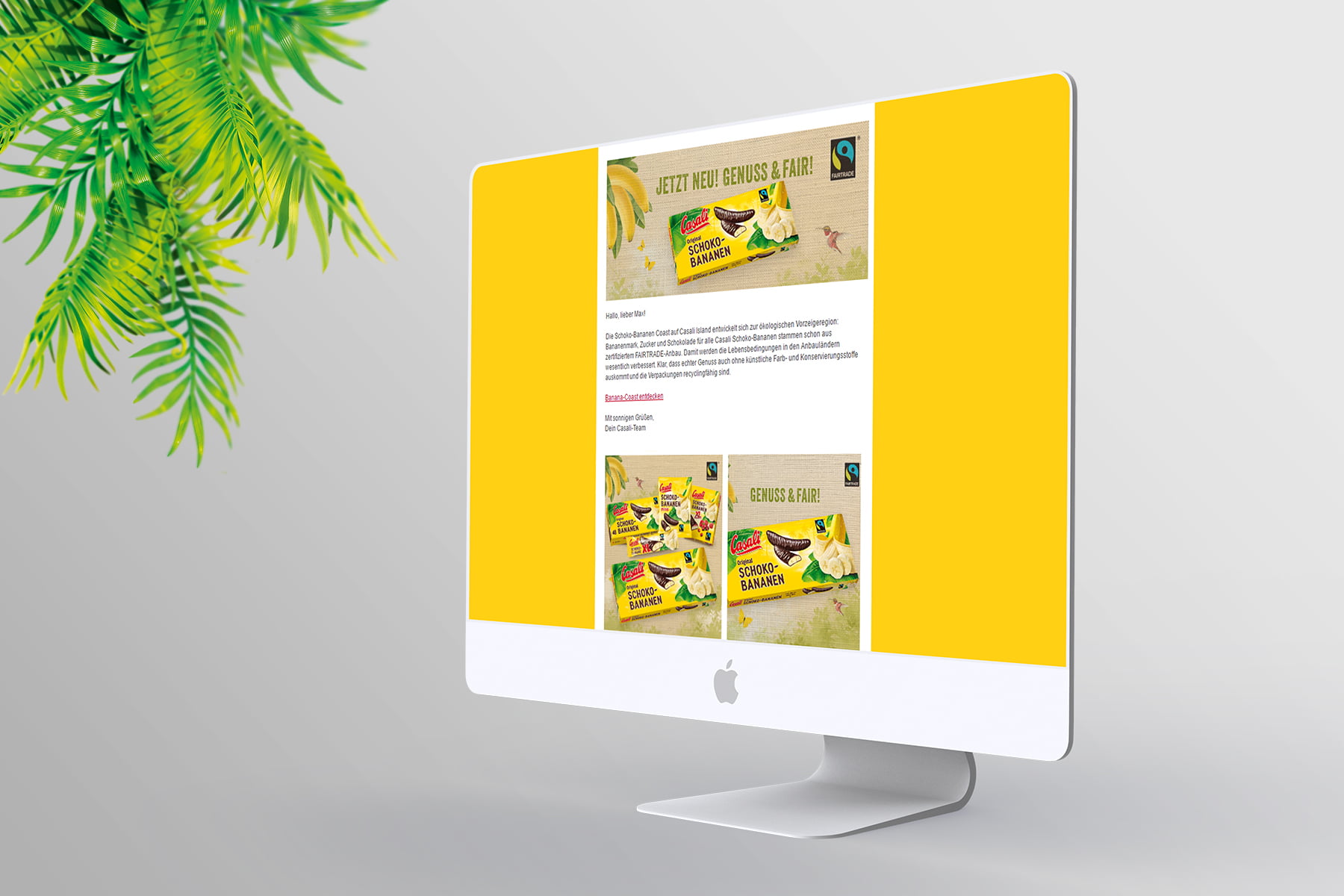 Desktop Ansicht eines Casali Newsletters