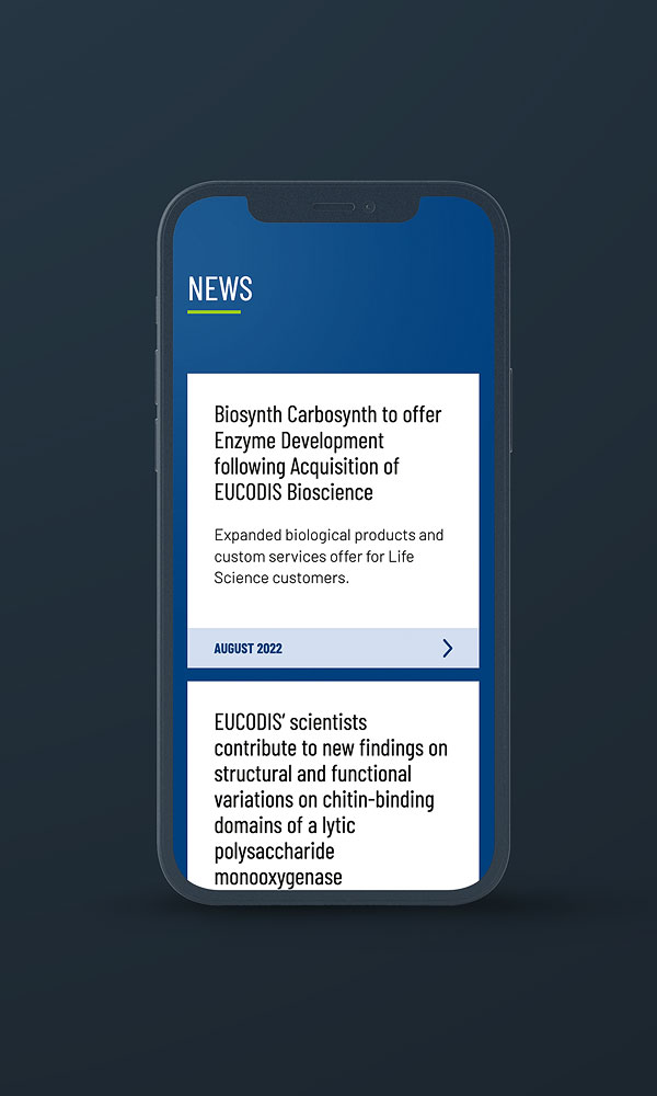 Smartphone Ansicht Startseite Bereich News