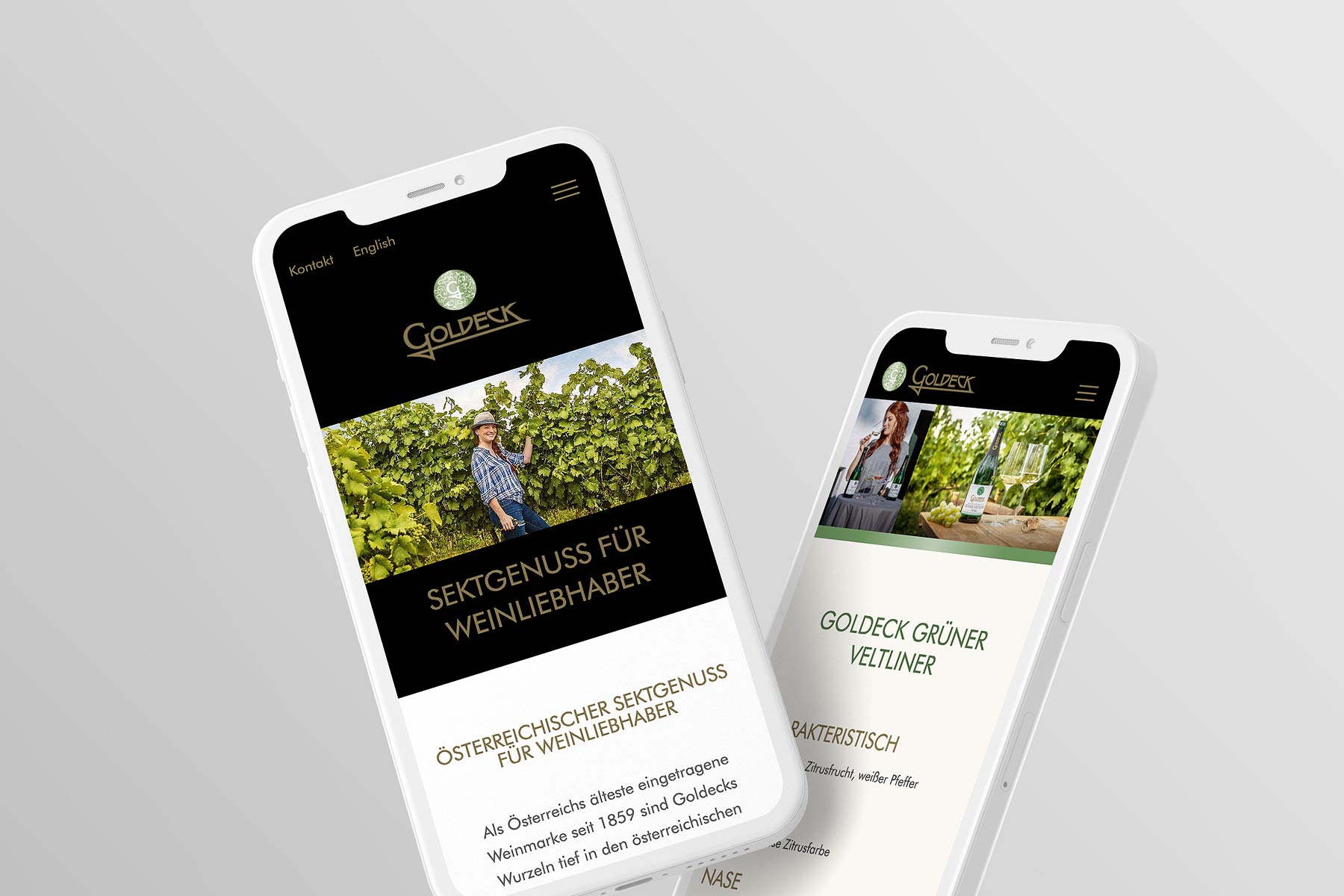 Smartphone Ansicht Startseite goldeck.at