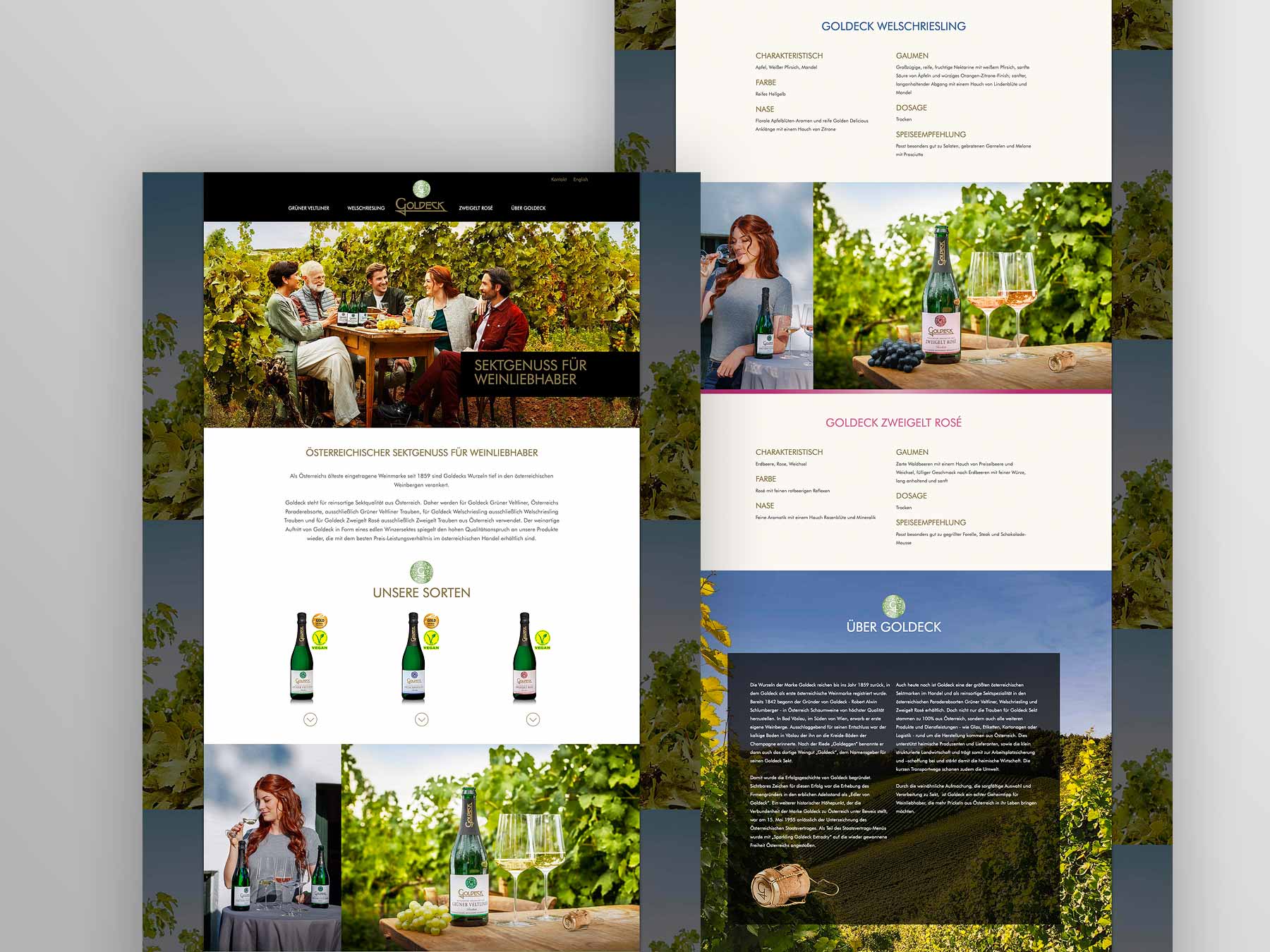Screenshots Startseite goldeck.at