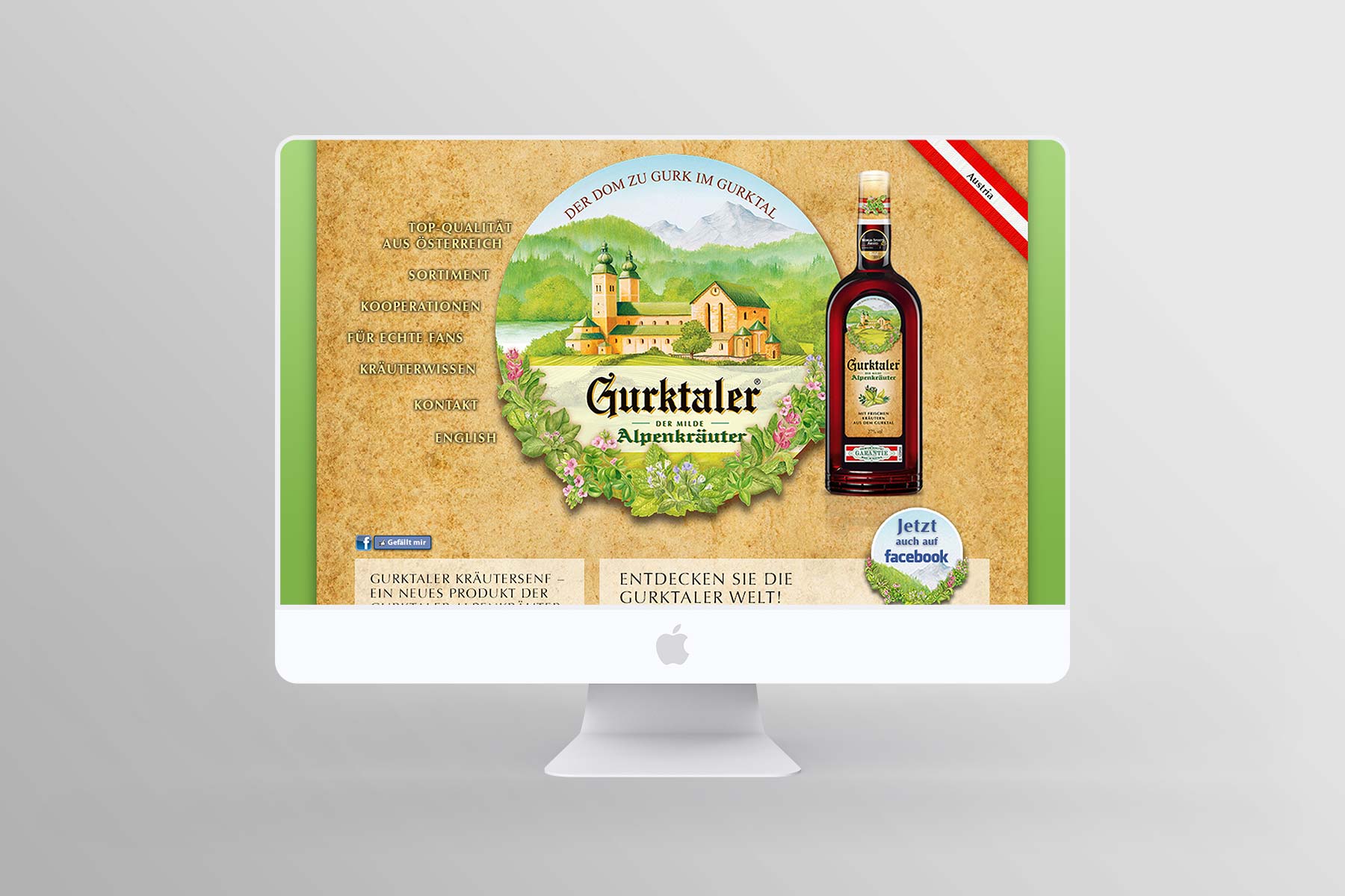 Desktop Ansicht Startseite Gurktaler Website (2010)