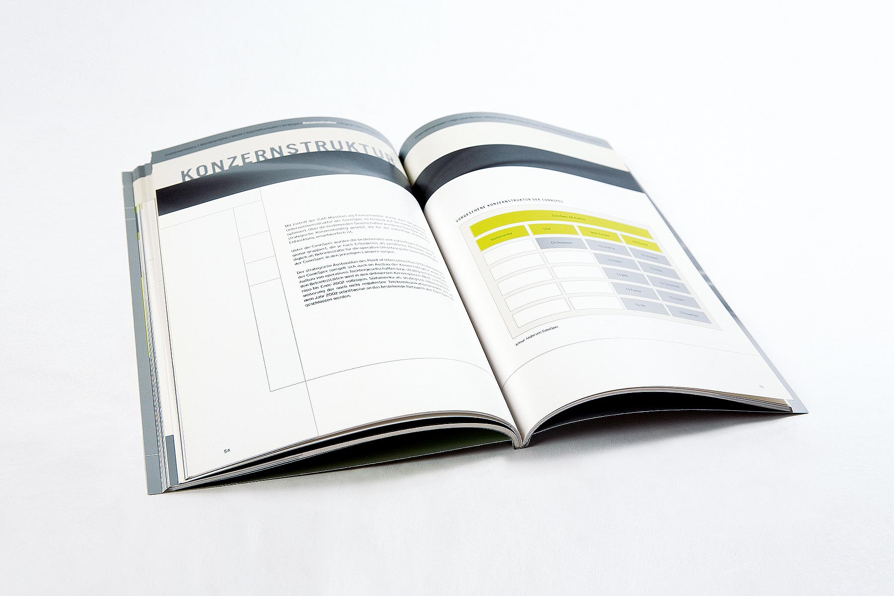 Innenseite Konzernstruktur Company Report ICAP