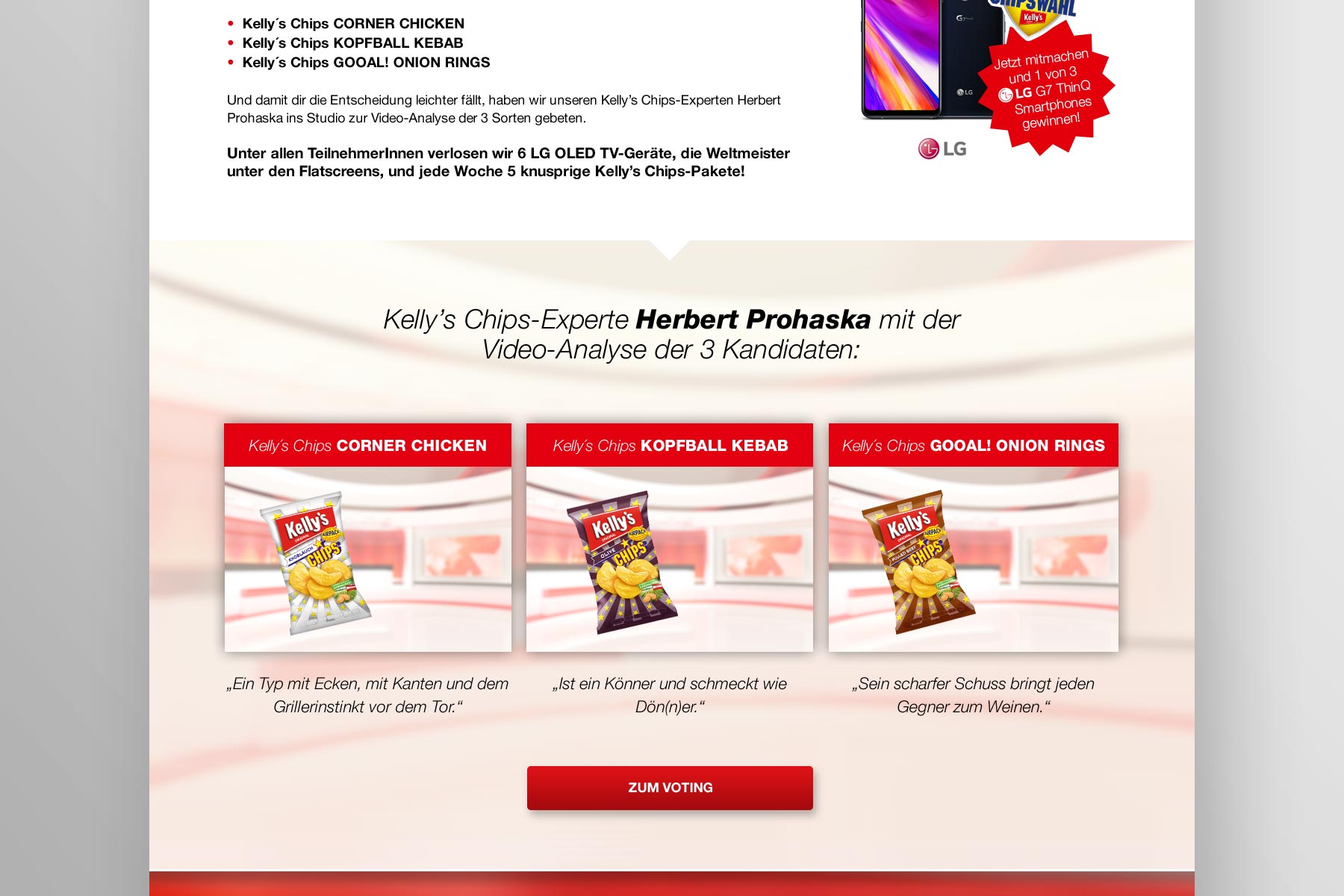 Screenshot Landingpage Chipswahl 2019 Teil 2