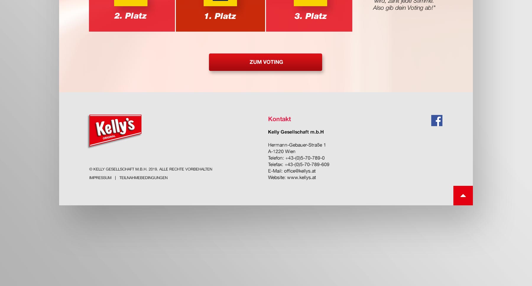 Screenshot Landingpage Chipswahl 2019 Teil 5