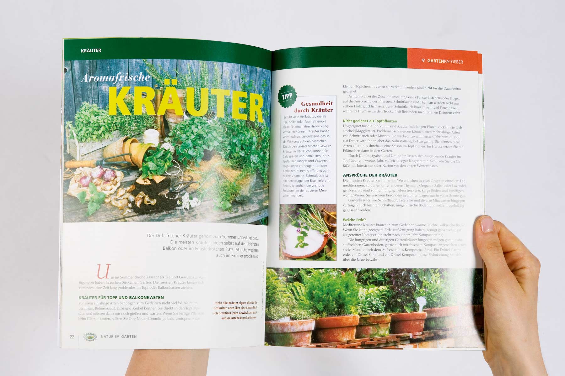Beispiel Innenseite Kräuter Magazin Natur im Garten 2007