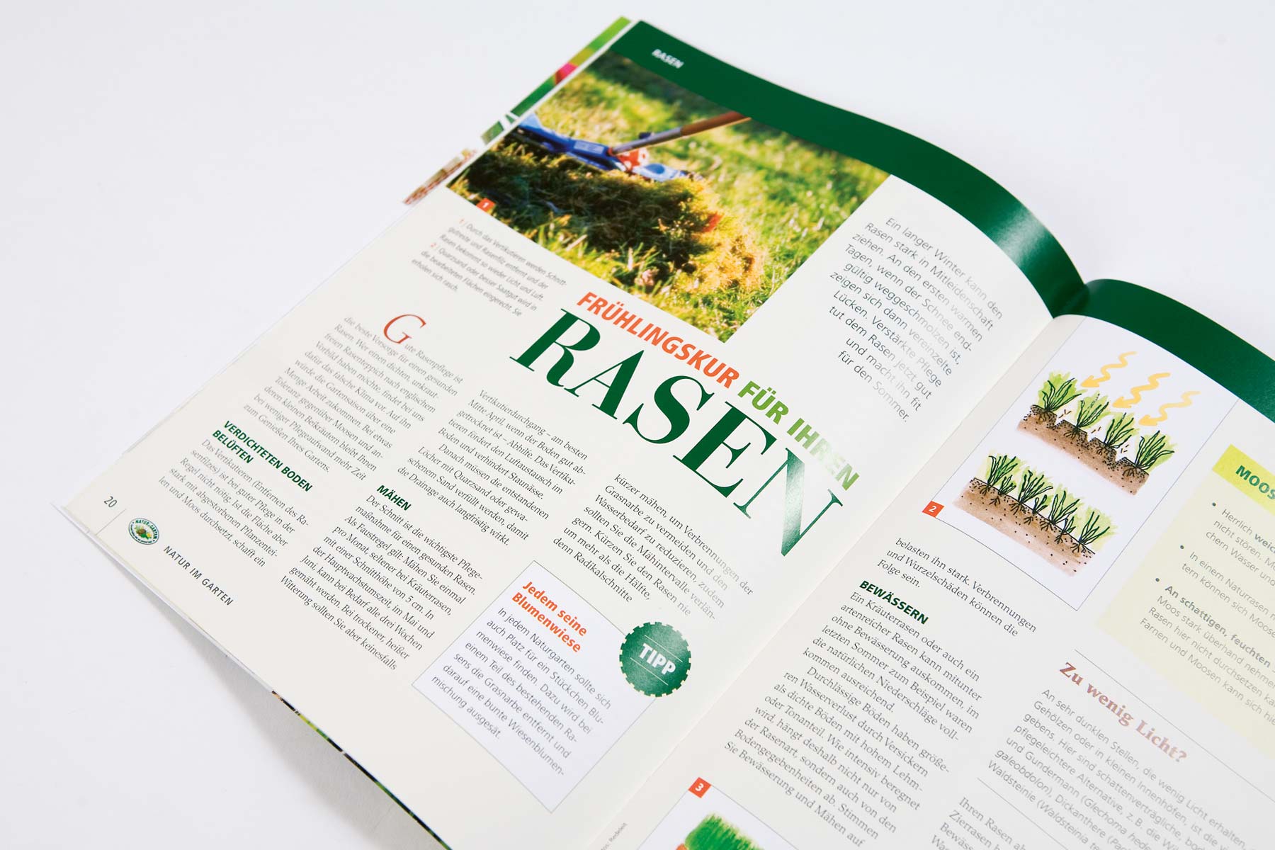 Beispiel Innenseite Rasen Magazin Natur im Garten 2007