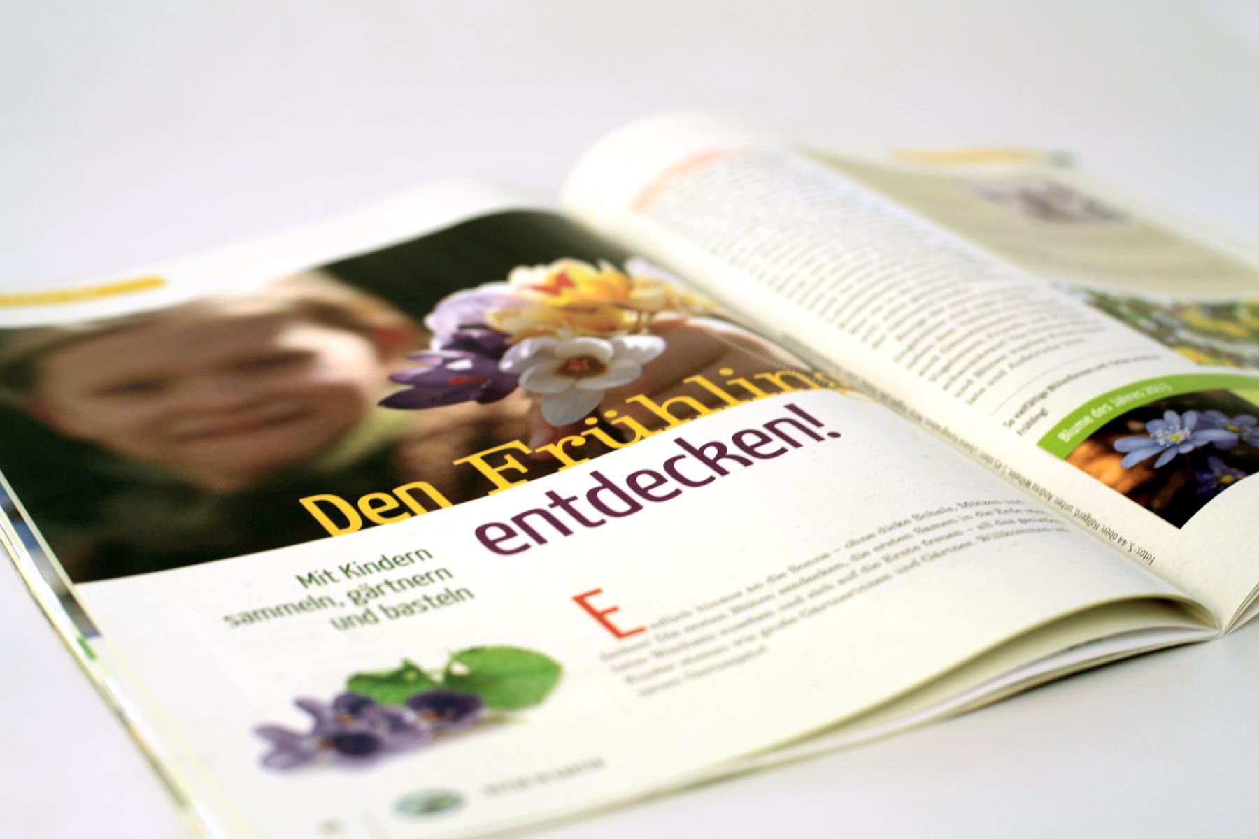Beispiel Innenseite Magazin Natur im Garten