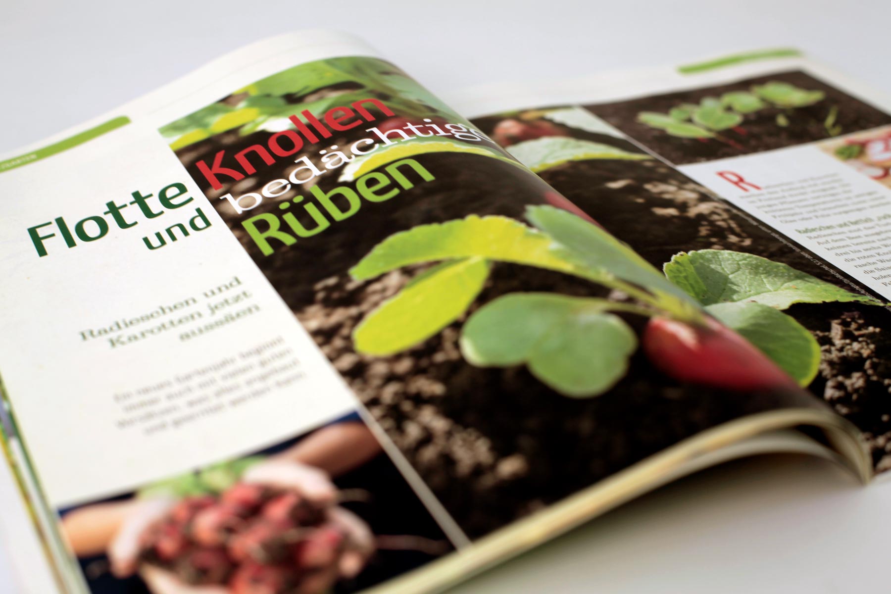 Beispiel Innenseite Rüben Magazin Natur im Garten