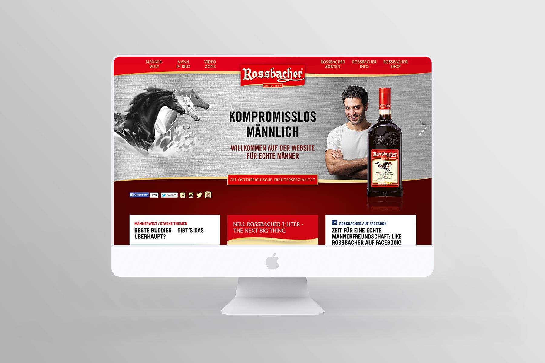 Desktop Ansicht Startseite Rossbacher 2014