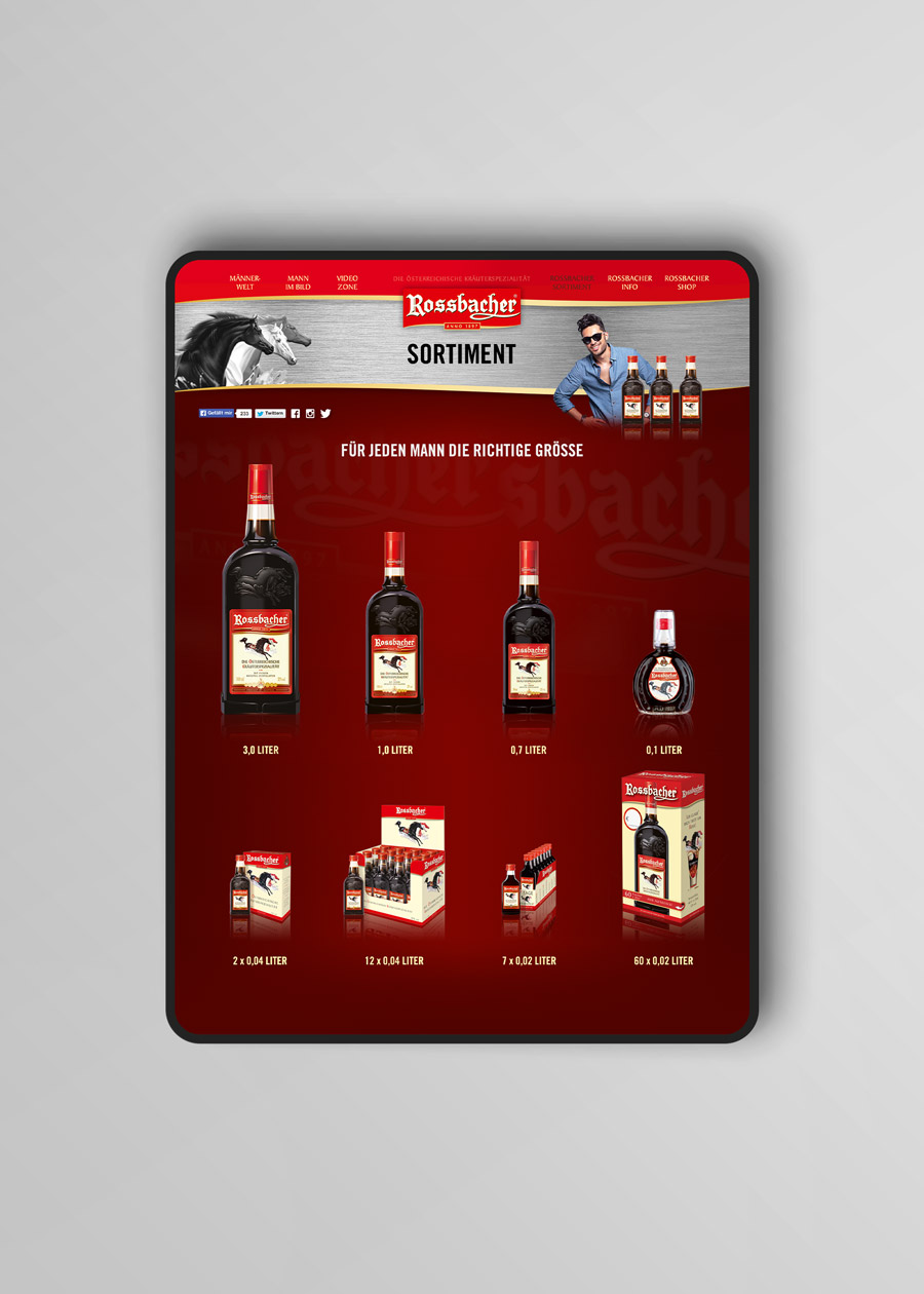 Montage iPad Pro Ansicht Innenseite Sortiment Rossbacher 2014 