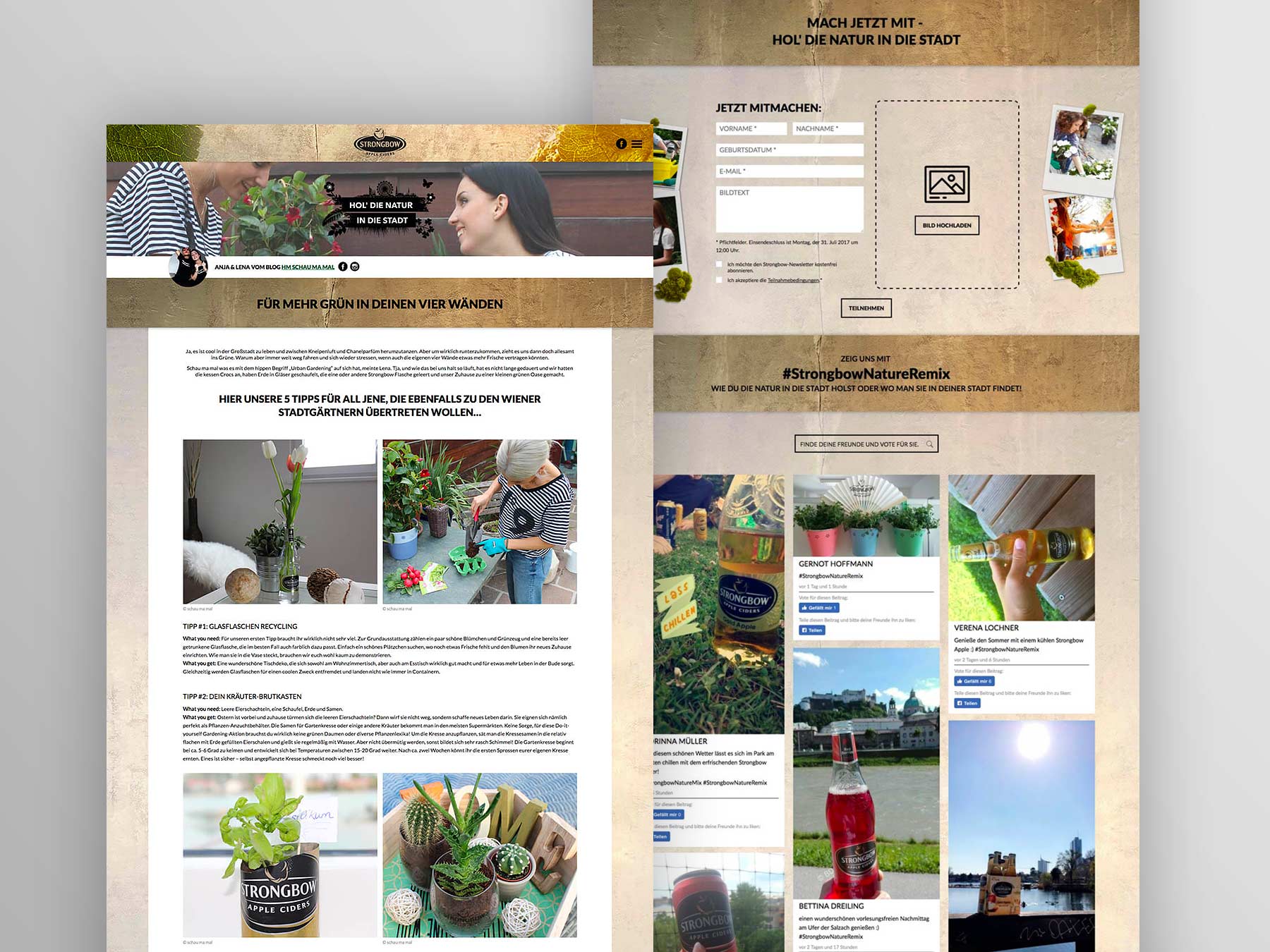 Screenshot Landingpage Kampagne Hol die Natur in die Stadt Strongbow 2017