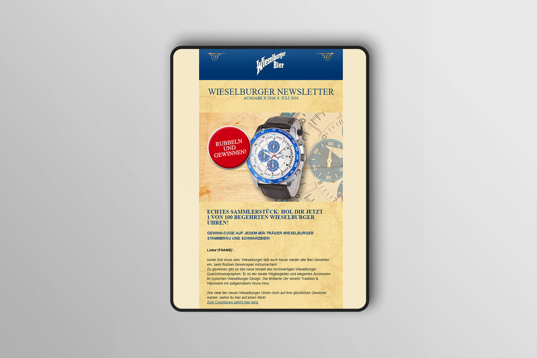 iPad Pro Ansicht Beispiel Newsletter Wieselburger 2016
