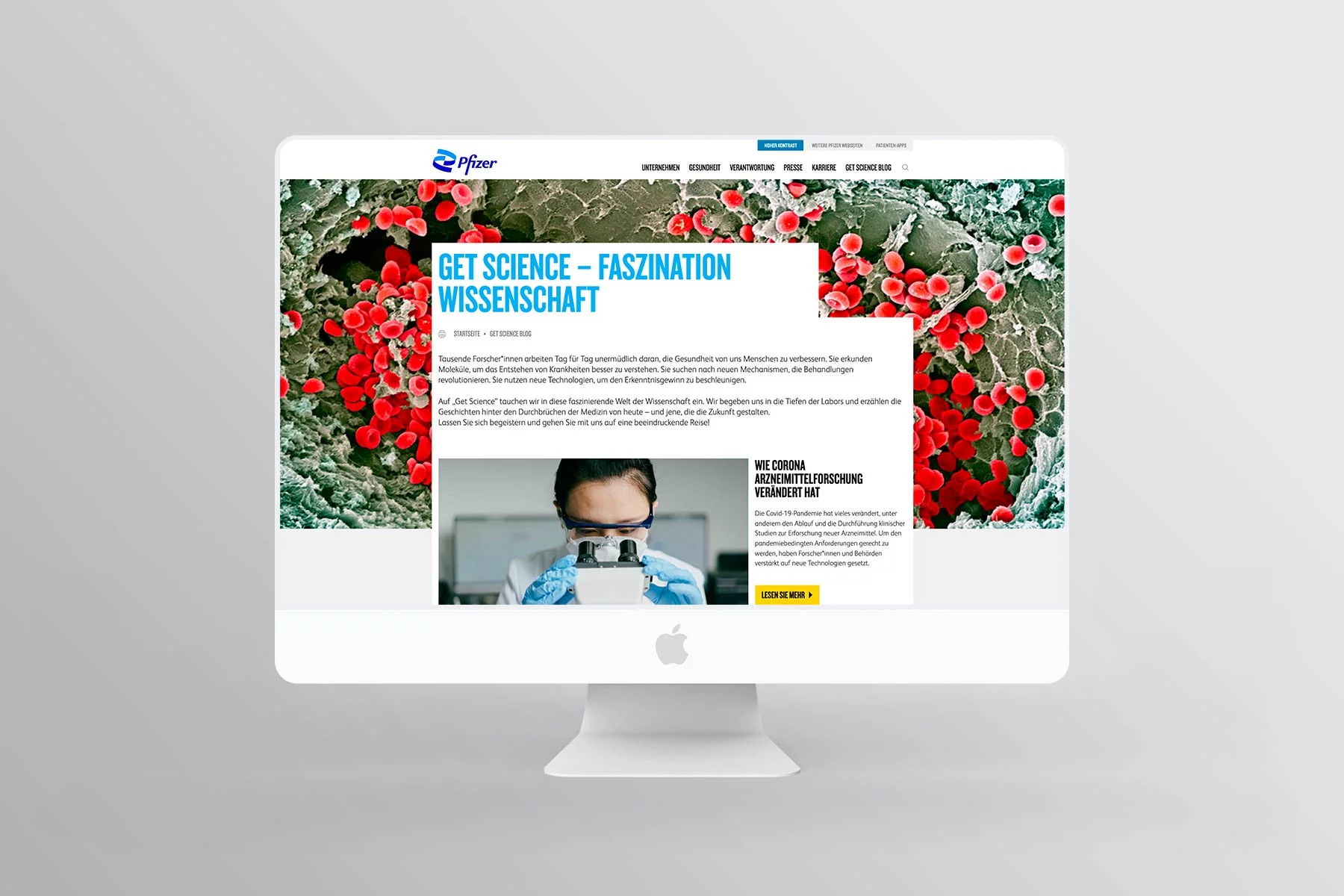 Desktop Ansicht Übersicht Blog pfizer.at bis 2022
