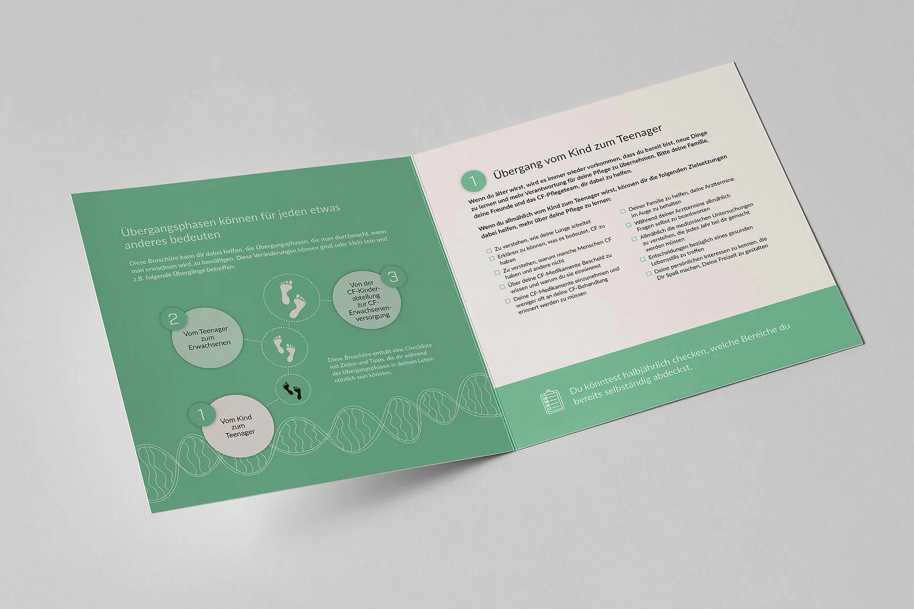 Innenseite Folder 2: Übergang vom Teenager zum Erwachsenen