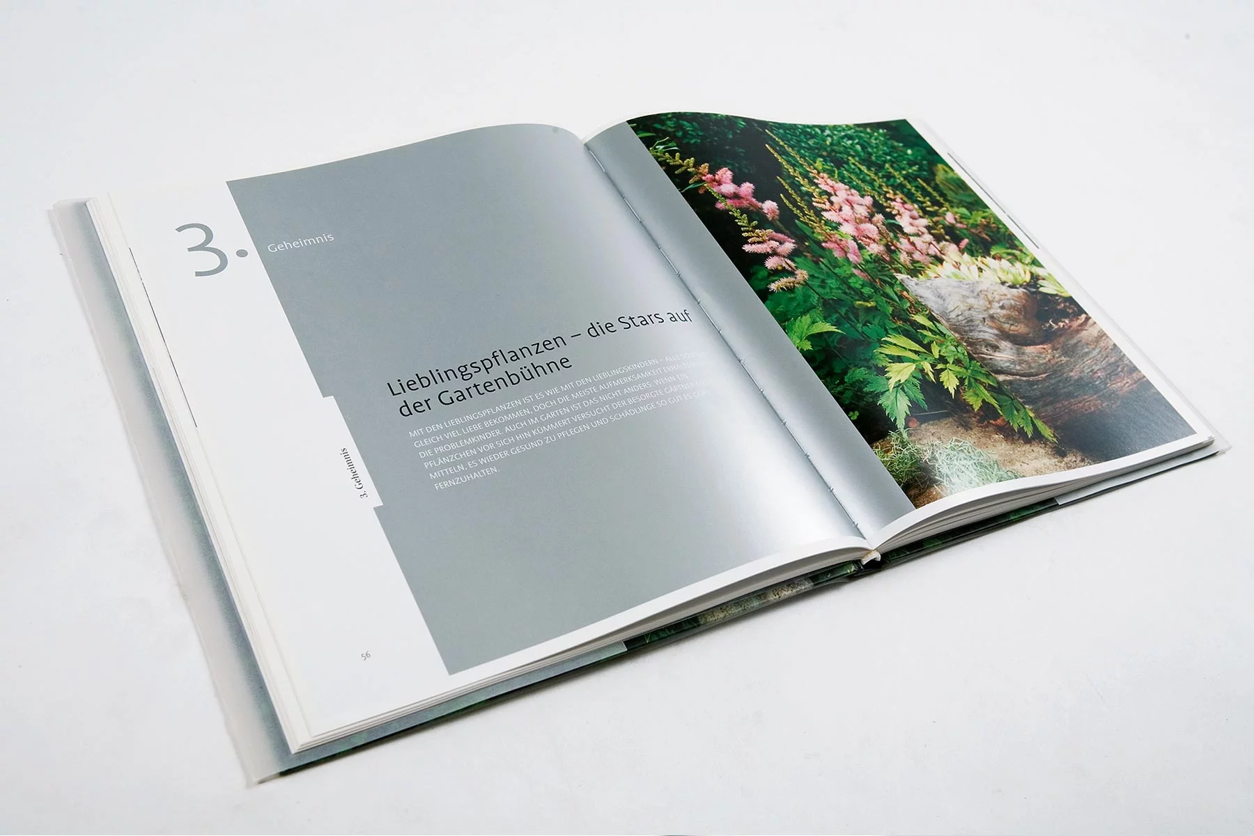 Innenseite des Buchs