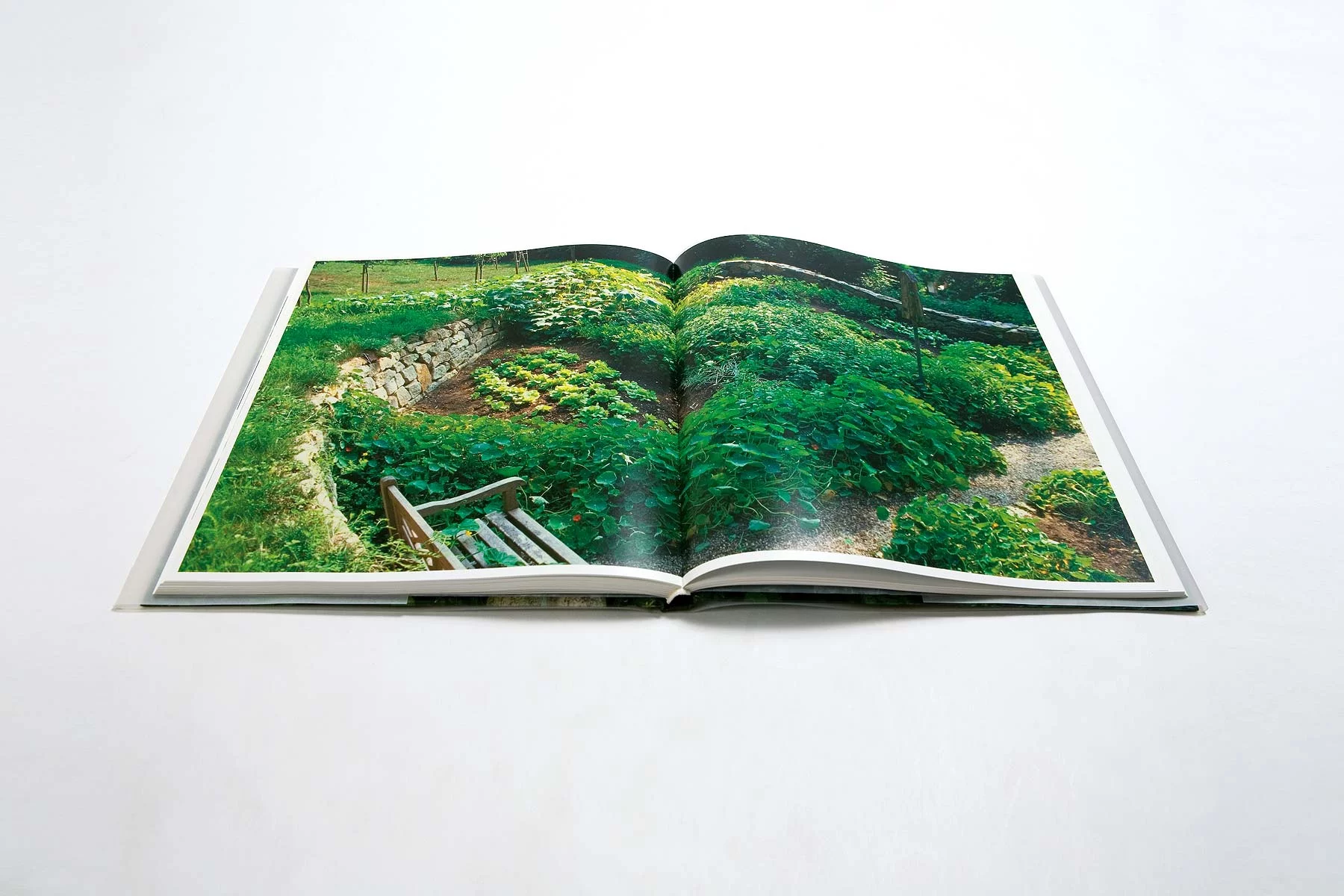 Innenseite des Buchs