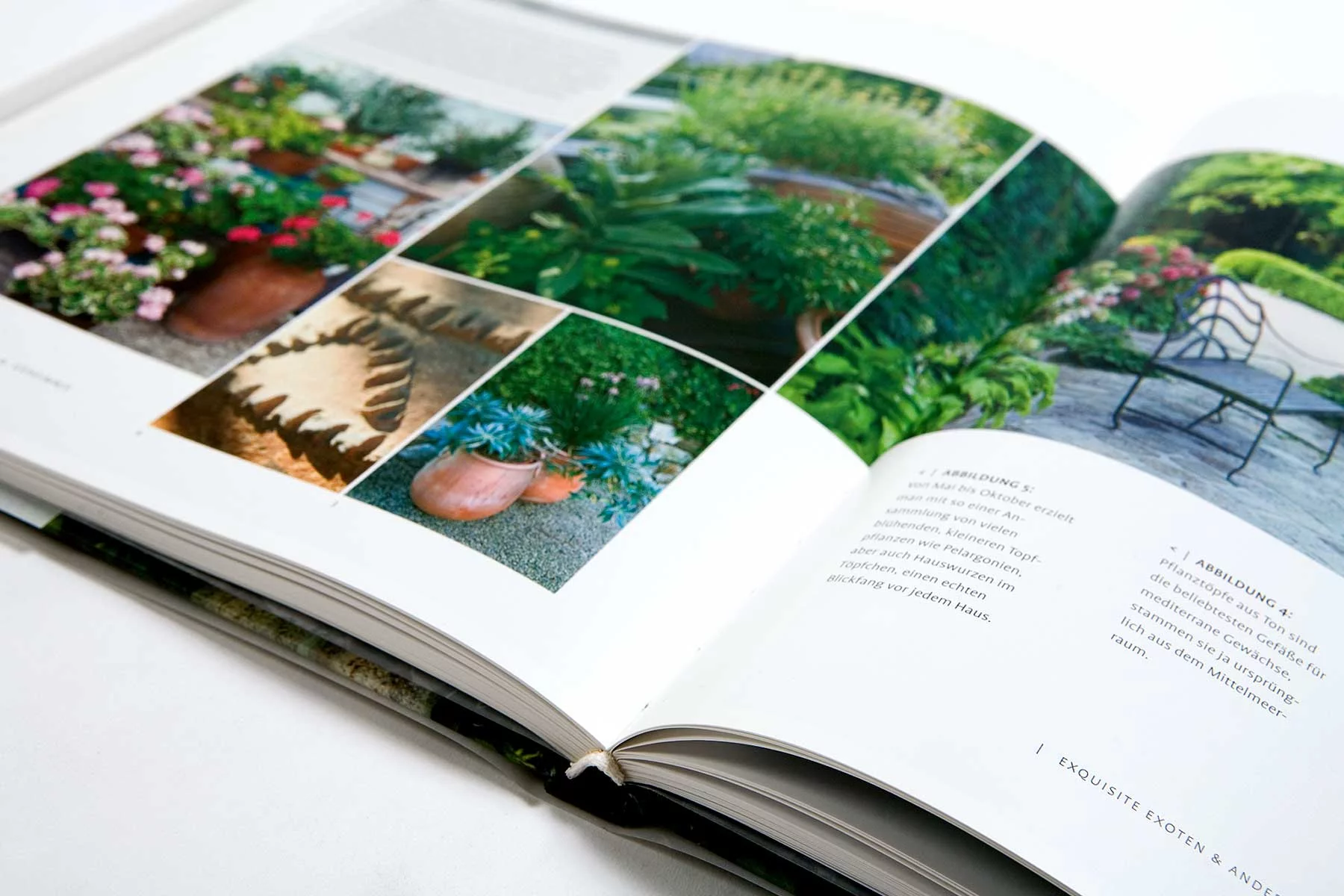 Innenseite des Buchs